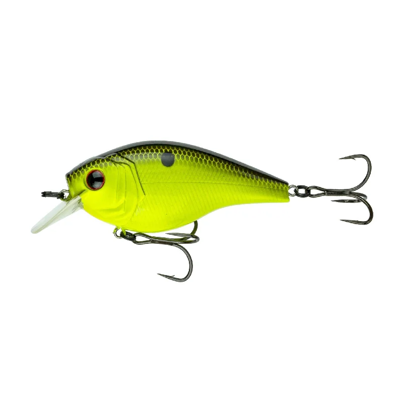 Chartreuse Black Back