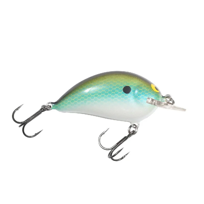 Blue Olive Shad