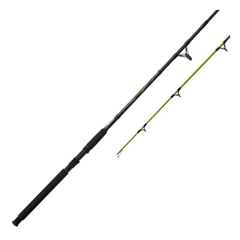 Big Cat Spinning Rod