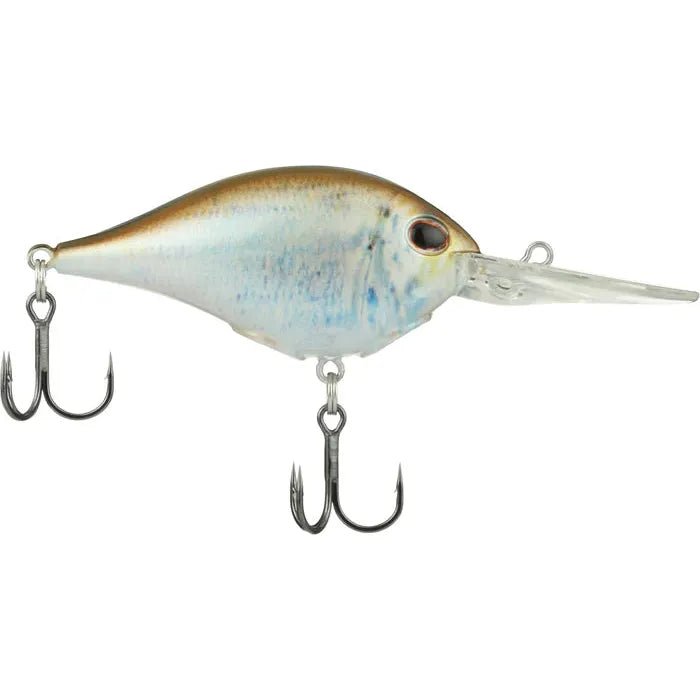 HD Blueback Herring