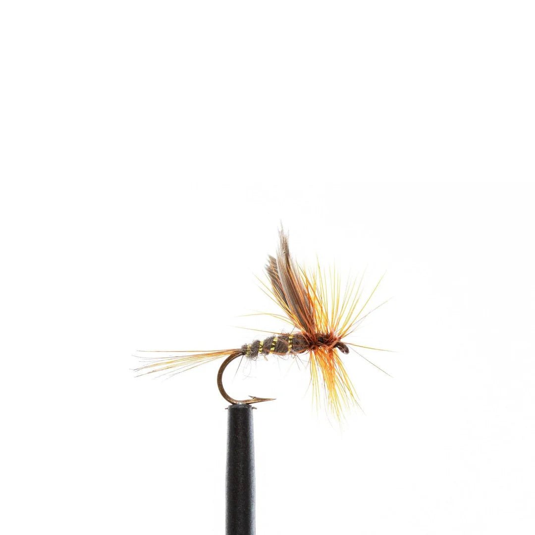 Jackson Cardinal Dry Fly #14 Gold Ribbed Hare's Ear Qty 24