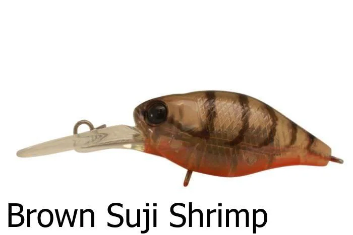 Brown Suji Shrimp