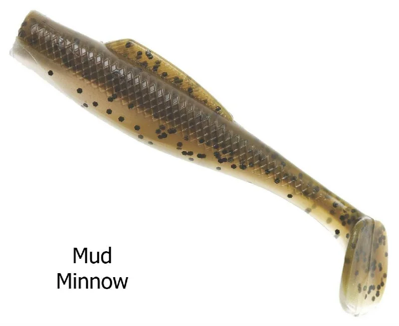 Mud Minnow