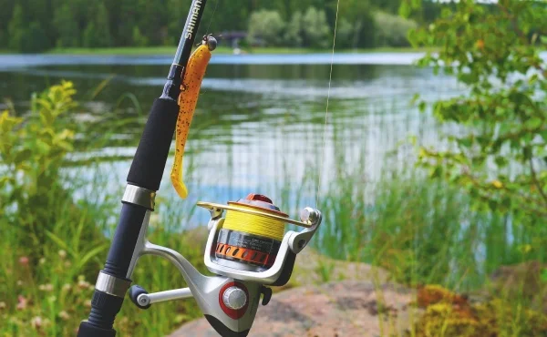  Catch the best deals on fishing gear online!